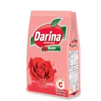 41007 Darina
