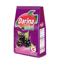 41008 Darina