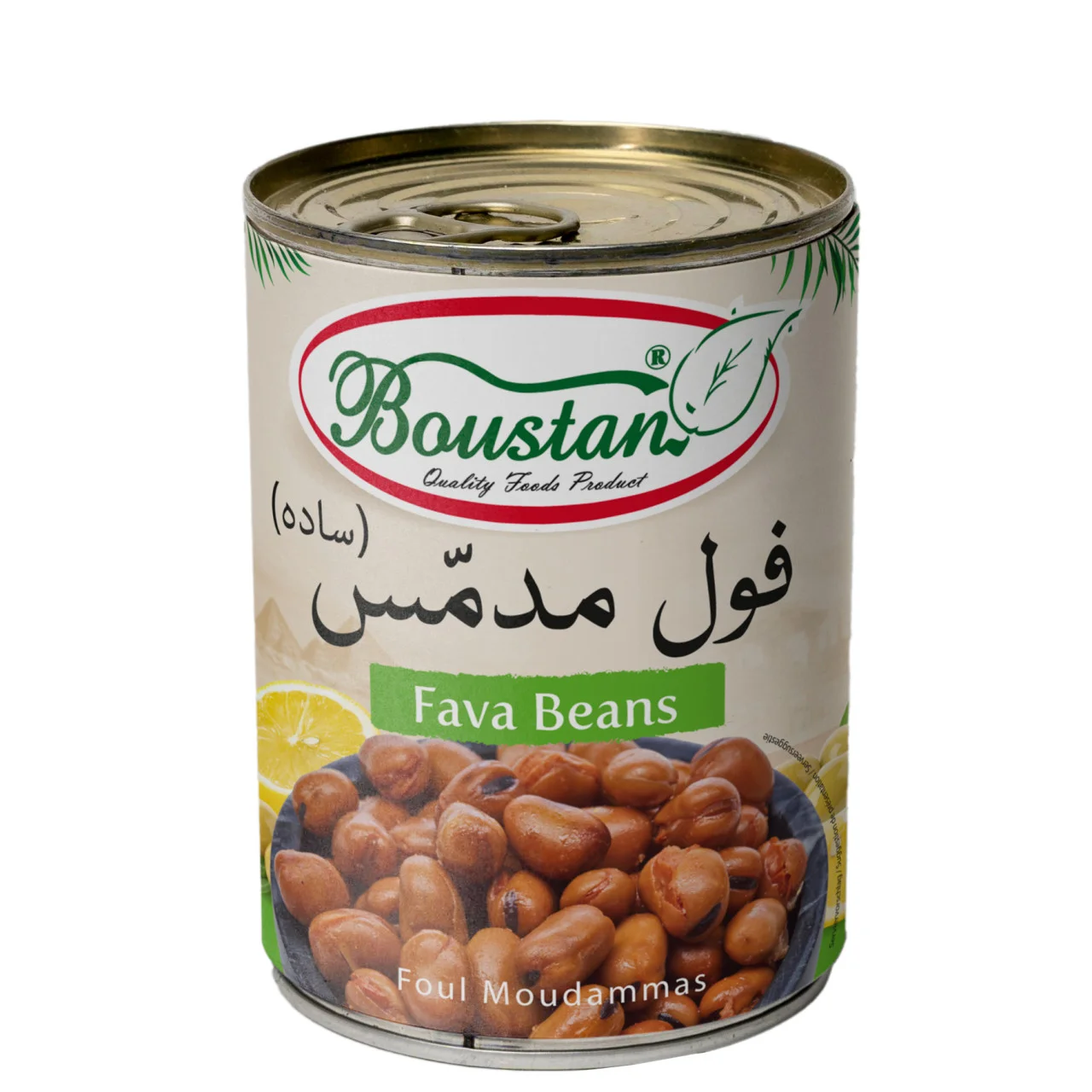 Boustan 10001CmWCk78WyDrIp