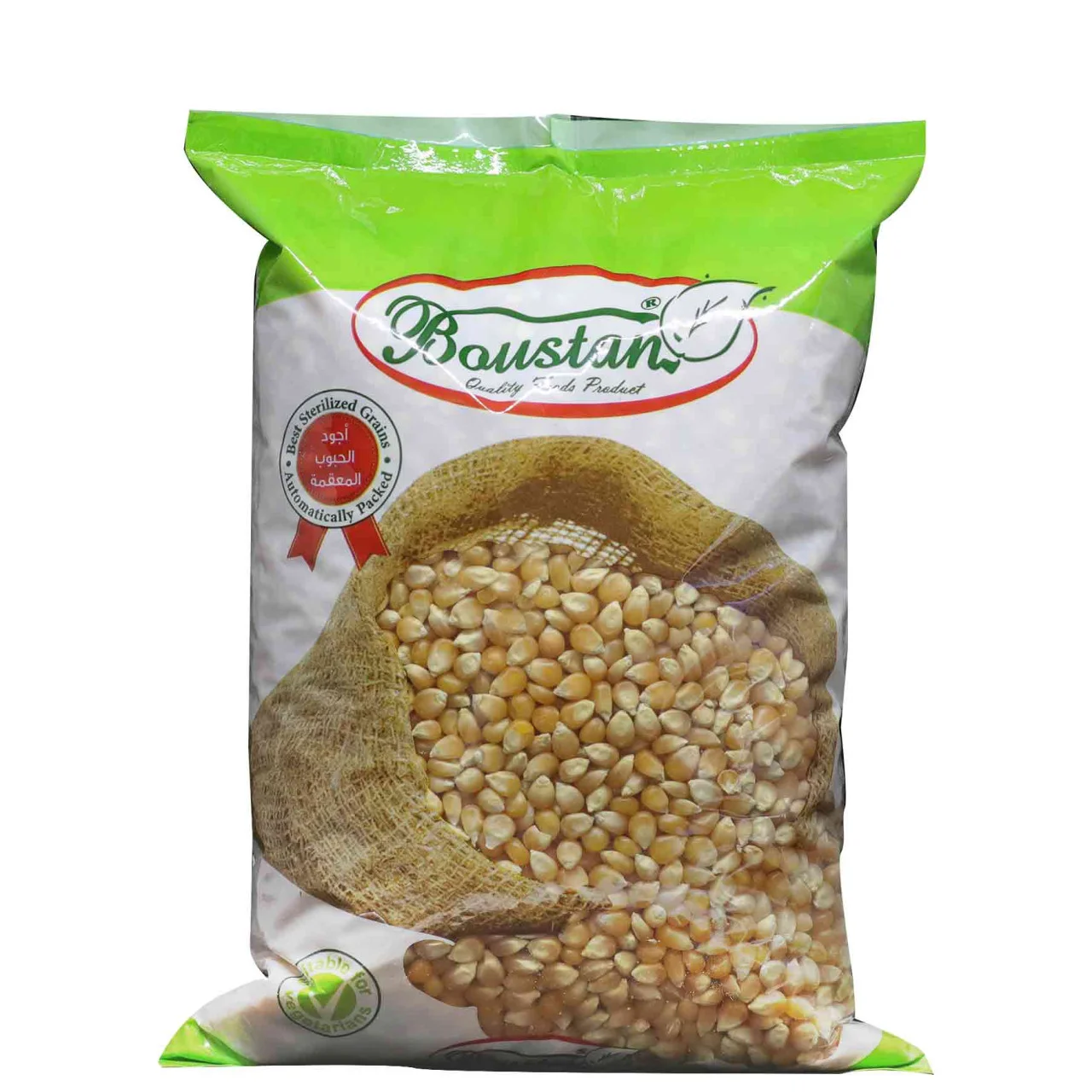 Boustan 110325neECG2OASN01