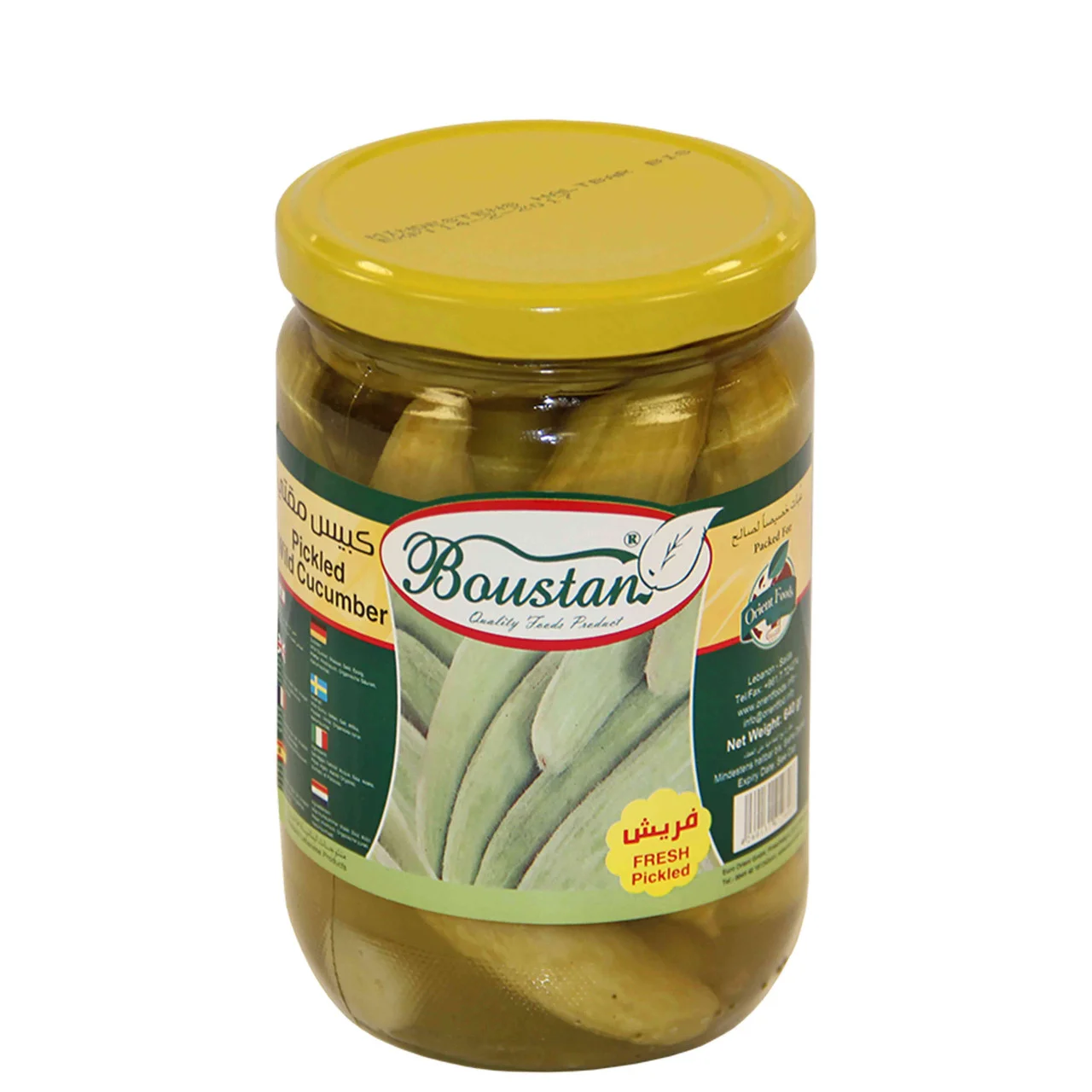 Boustan 12011